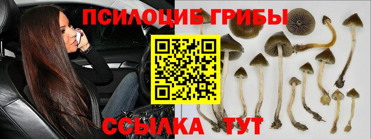 Черногорск  Псилоцибиновые грибы мухоморы  сколько стоит  Вход с VPN 
